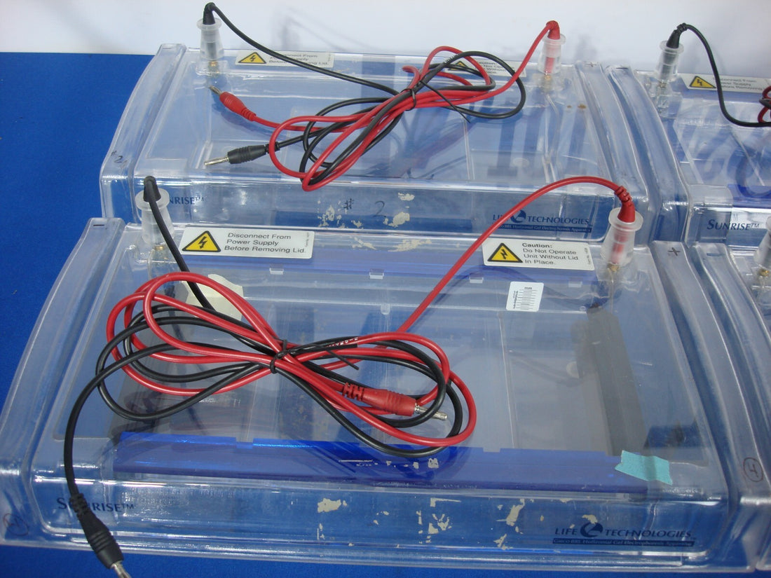 Lot of 4 Life Technologies Sunrise 96 Horizontal Gel Electrophoresis Chamber