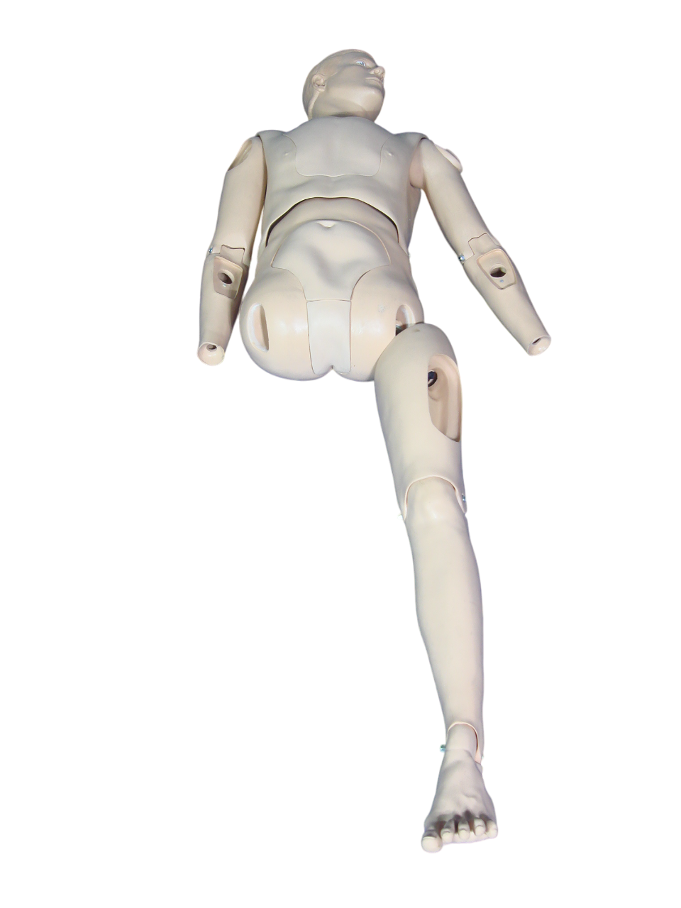 Laerdal Extri Kelly Medical Training Manikin Adult Full Body #4