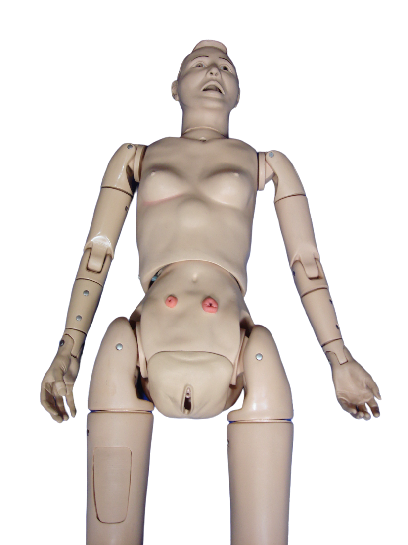 Nasco Life Form Simulator LF4020 Adult Training Manikin