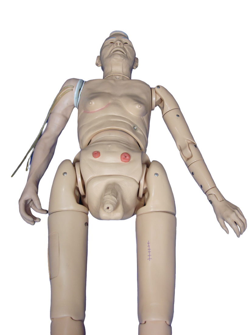 Nasco Life Form Simulator LF4030 Adult Training Manikin