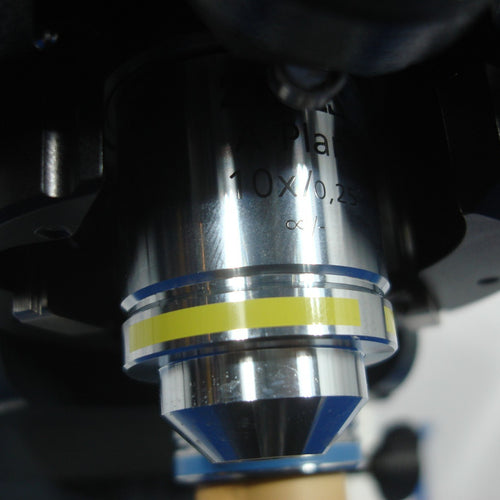 Zeiss Axio Examiner.A1 Fixed Stage Microscope